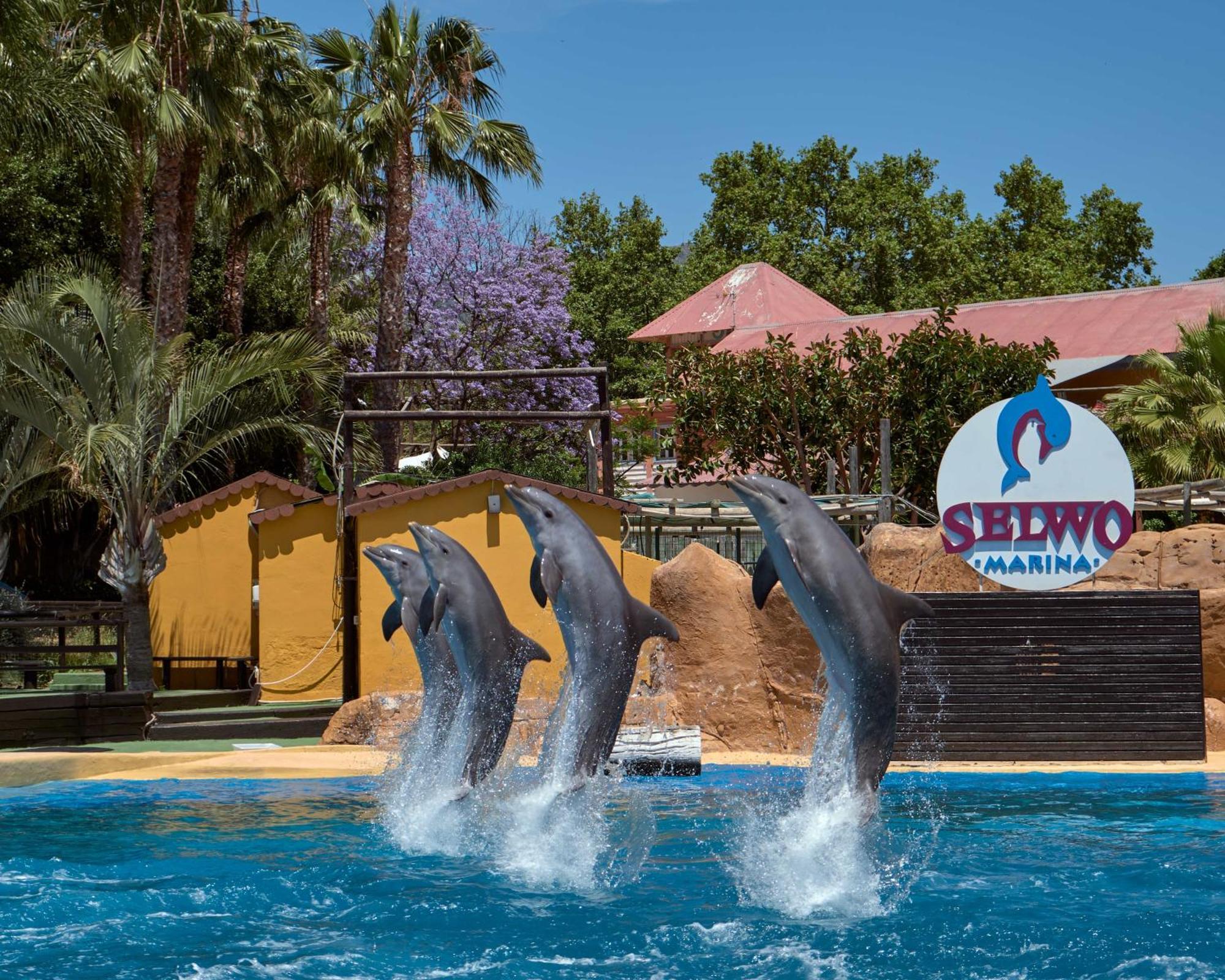 Apart With Swimming Pool Open All Year Benalmádena Buitenkant foto